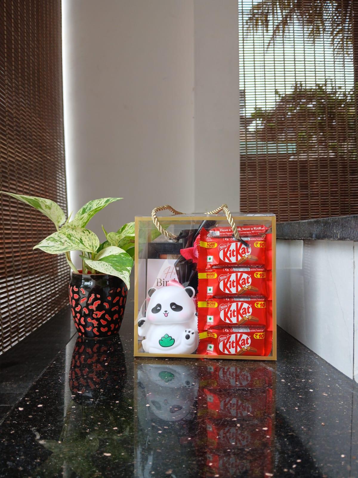 Panda Surprise Hamper