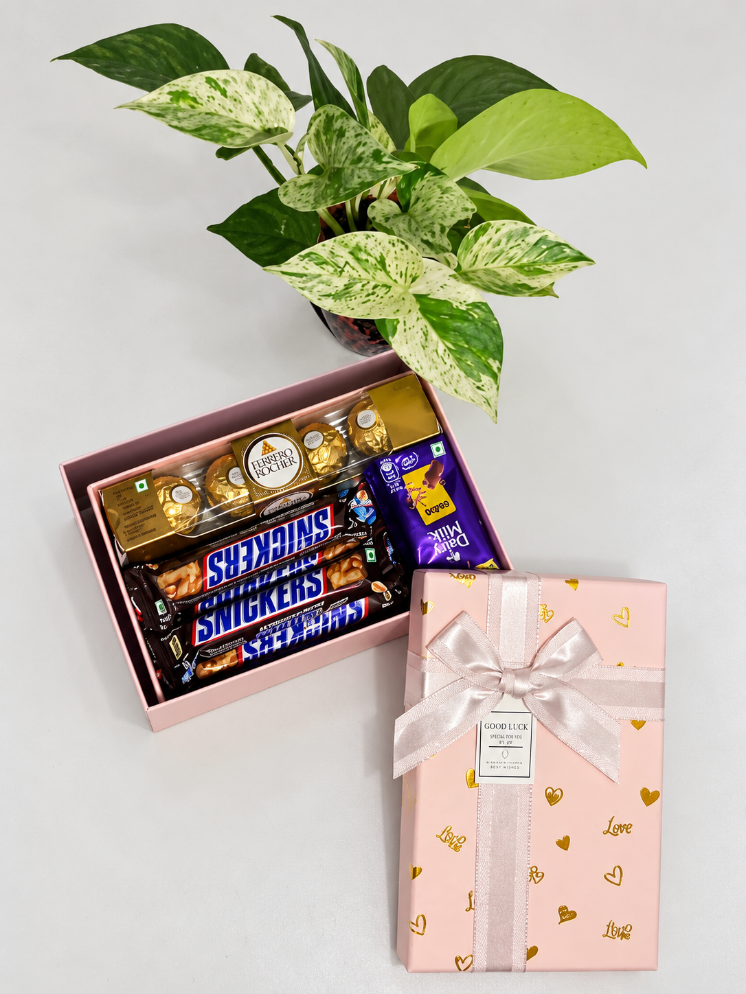 Ribboned Chocolate Selection